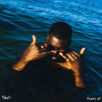 Bawo-Surfs_Up-16BIT-WEB-FLAC-2026-TRB