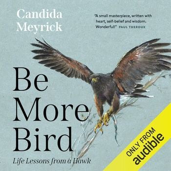 Be More Bird: Life Lessons from a Hawk - Candida Meyrick