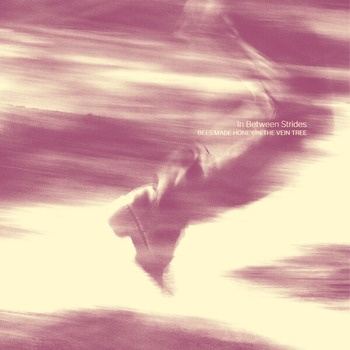 Bees_Made_Honey_In_The_Vein_Tree-In_Between_Strides-24BIT-WEB-FLAC-2026-TRB