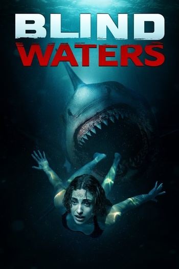 Blind.Waters.2023.FRENCH.1080p.WEB.H264-FW