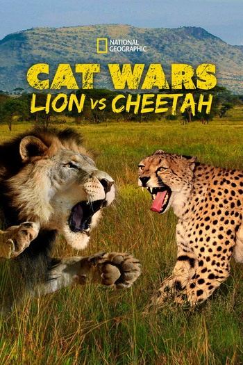 Cat.Wars.Lion.Vs.Cheetah.2011.1080p.DSNP.WEB-DL.DDP5.1.H.264-NTb