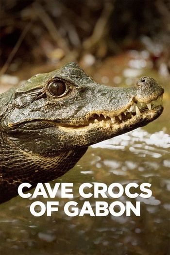 Cave.Crocs.of.Gabon.2018.1080p.AMZN.WEB-DL.DDP2.0.H.264-T4H