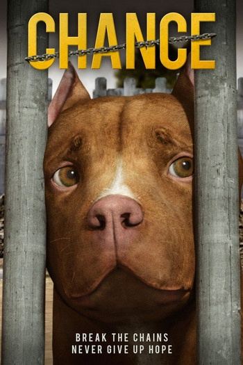 Chance.2019.1080p.AMZN.WEBRip.DDP2.0.x264-SNAKE