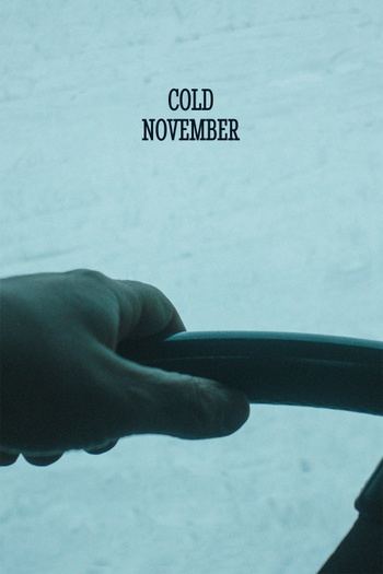 Cold November 2018 1080p web YTS