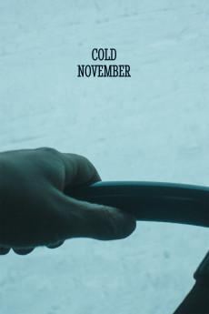 Cold November 2018 720p web YTS