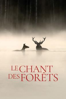 Le chant des forêts 2025 720p bluray YTS