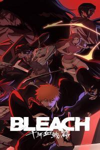 [lost108] BLEACH - Sennen Kessen-hen - 49 - The Blade - VOSTFR - 1080p