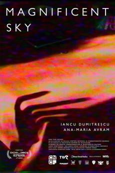 Magnificent Sky 2023 720p web YTS