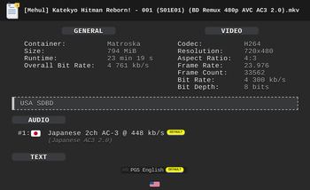 [Mehul] Katekyo Hitman Reborn! 001-203 (S01-S09) (BD Remux 480p AVC AC3 2.0) | 家庭教師ヒットマンREBORN!