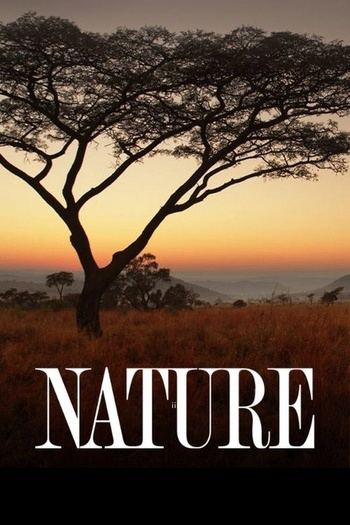 Nature S45E01 Sesame Street and the Great Elephant Adventure 1080p x265-ELiTE EZTV