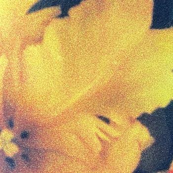 nthng-Last_Light_of_the_Sun-(TOPO2-006)-24BIT-WEB-FLAC-2026-TRB