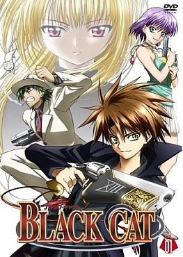 [Polarwindz] Black Cat (DVD 480p HEVC Opus)