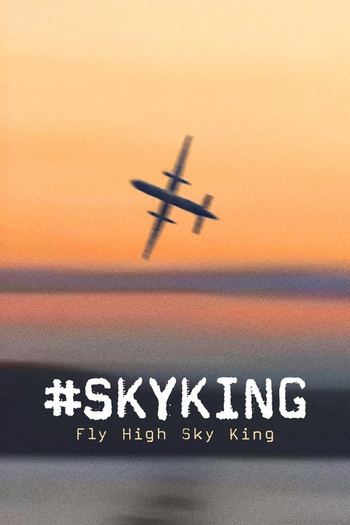Skyking 2026 1080p WEB-DL H264-PlayfulDarkness