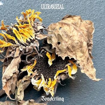 SONDERLING-Fur_Immer-US05-16BIT-WEB-FLAC-2026-TRB