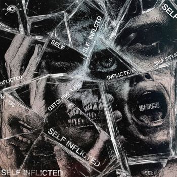 Stray_View-Self_Inflicted-16BIT-WEB-FLAC-2026-TRB