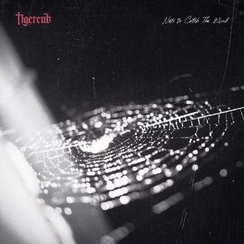 Tigercub-Nets_to_Catch_the_Wind-DELUXE_EDITION-24BIT-96KHZ-WEB-FLAC-2026-TRB