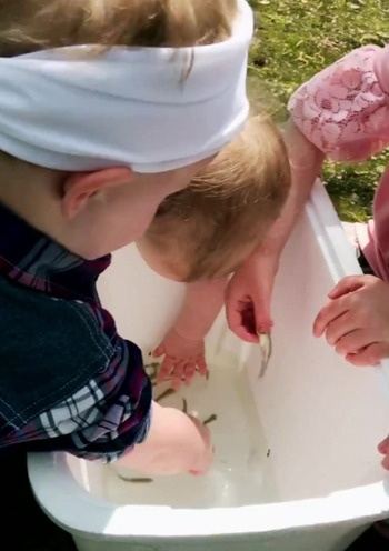 Totally.Funny.Animals.S02E25.1080p.WEB.h264-TRB