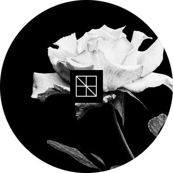 VA-Axiom_Veil-(BST035)-16BIT-WEB-FLAC-2026-TRB