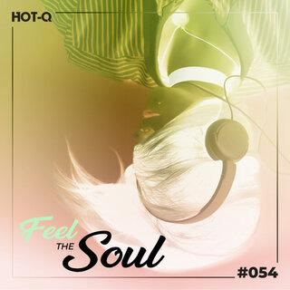 VA-Feel_The_Soul_054-16BIT-WEB-FLAC-2026-TRB