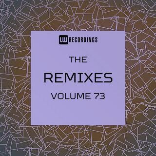 VA-The_Remixes_Vol._73-16BIT-WEB-FLAC-2026-TRB